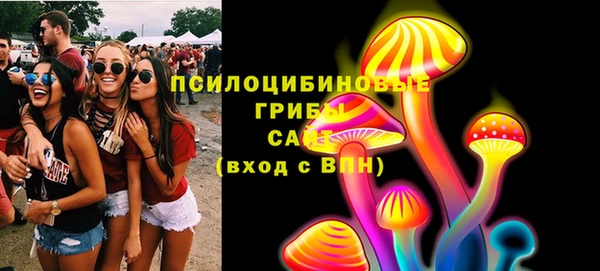 МДПВ Алексин